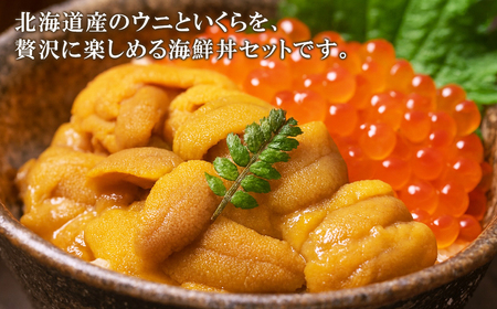 【北海道産】うにいくらセット ふり塩うに100g いくら醤油漬け100g キタムラサキウニ 鮭いくら うにいくら丼 おうちで海鮮丼セット