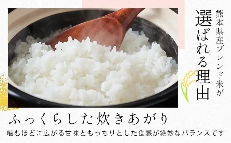 【6ヶ月定期便】ひごみのり 無洗米 熊本県産 ブレンド米 5kg 熊本県産 ふるさと納税  精米 米 こめ ふるさとのうぜい コメ お米 おこめ《申込み翌月から発送》