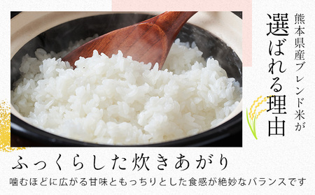  肥後清流米 白米 10kg ブレンド米《7-14日以内に出荷予定(土日祝除く)》