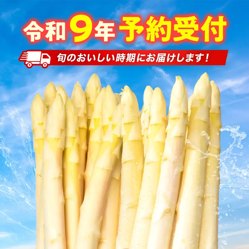 【先行予約】令和9年産 ホワイトアスパラガス（2Lサイズ） 1kg アスパラ 野菜 やさい ふるさと 納税 国産 北海道産 北海道 下川町 F4G-0353