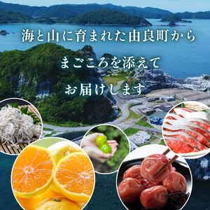 【ふるさとギフト】 あとからセレクト 【1万円】/ 選べる金額 みかん まぐろ 梅干し 梅酒 牛肉 しらす こめ油 海鮮 柑橘 フルーツ 訳あり 駆け込み 和歌山 由良町【atokara006】