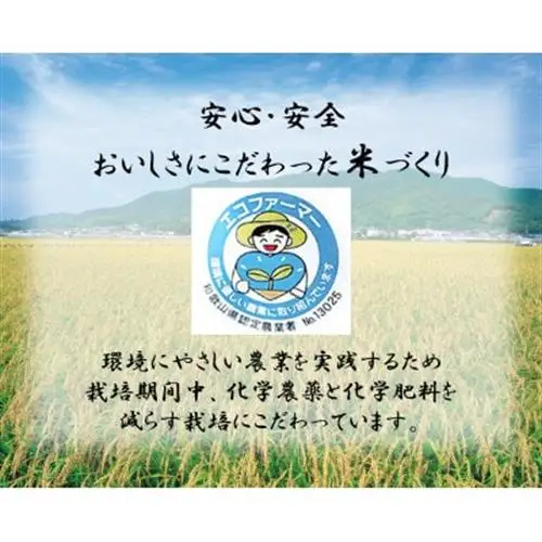 ★令和8年産 新米★ にじのきらめき ＆ きぬむすめ 各2kg(計4kg) 食べ比べセット【1659488】