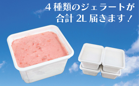 ジェラート おまかせ 季節 手作り 【ジェラート】