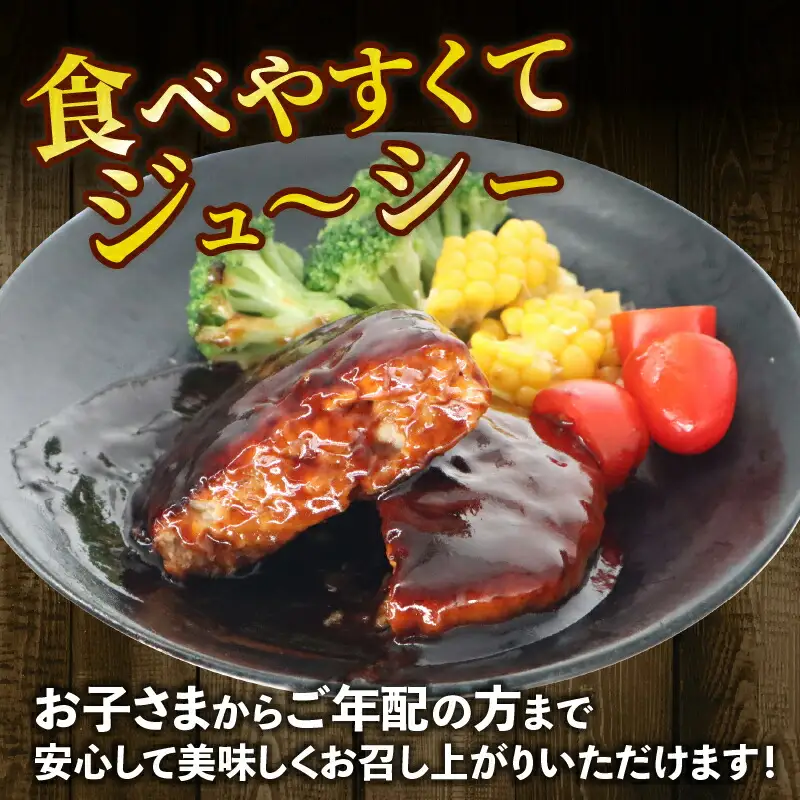 【ハンバーグ】 デミグラスソースハンバーグ 15個 15-081