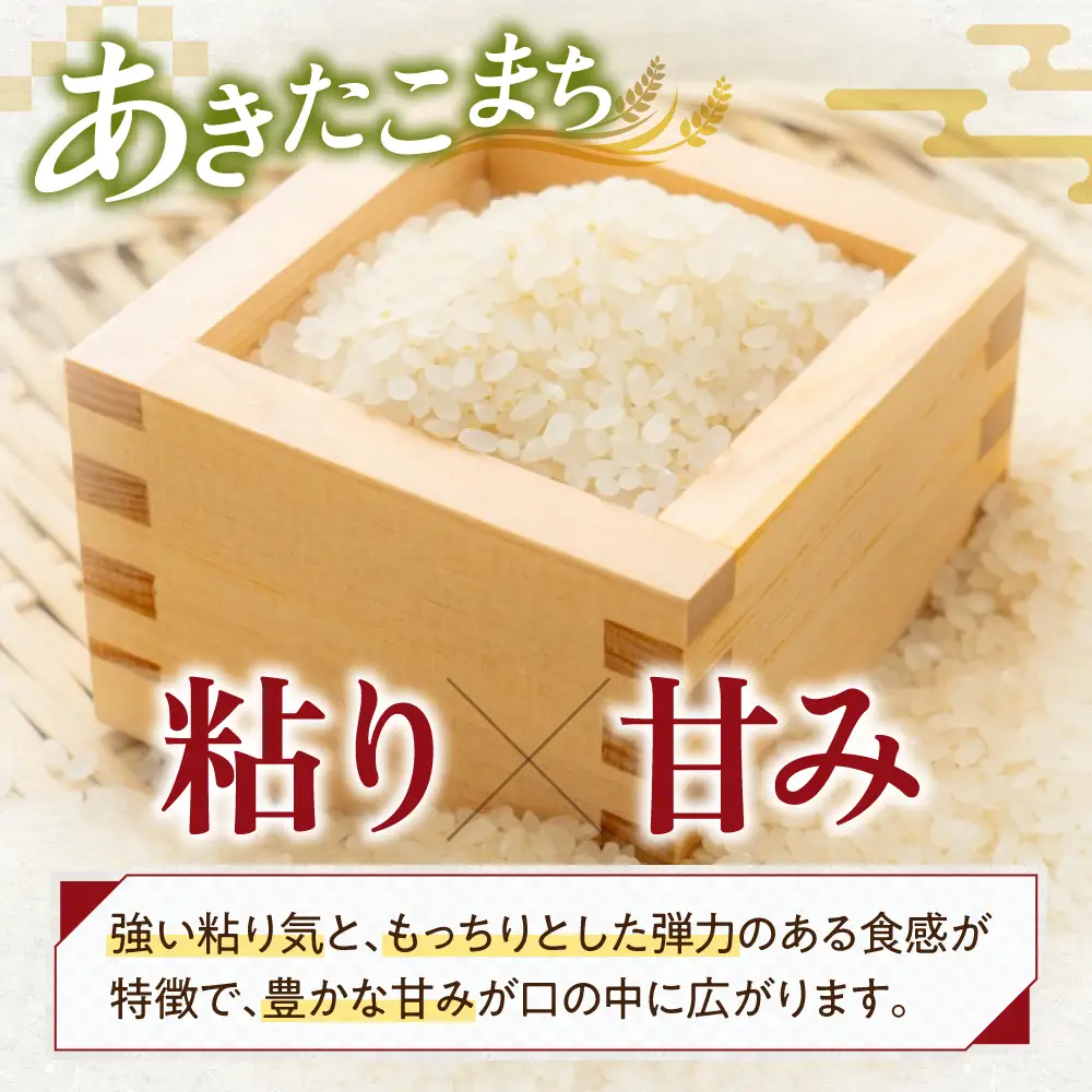 【スピード発送】米 白米 あきたこまち5kg [AQAW013] 米 5kg