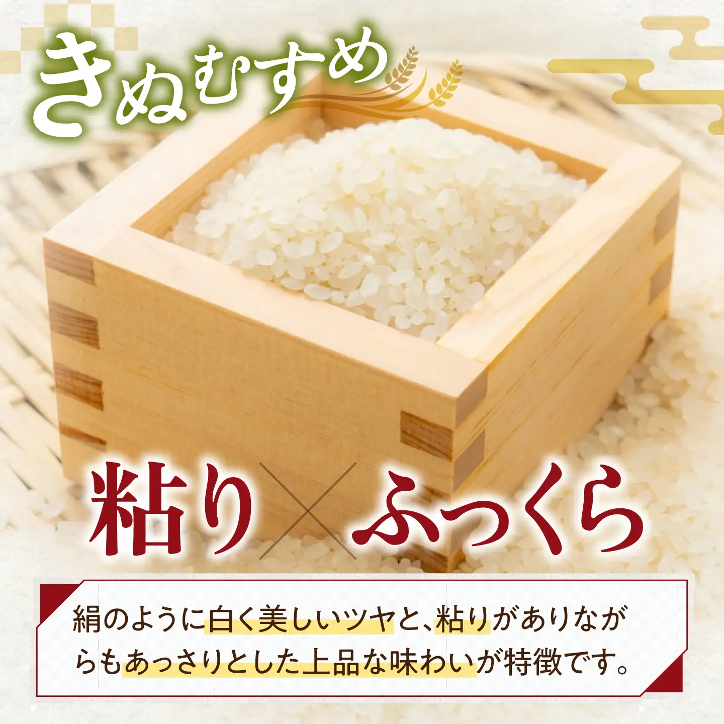 ＜先行予約＞ 白米 きぬむすめ5kg [AQAW015] 白米