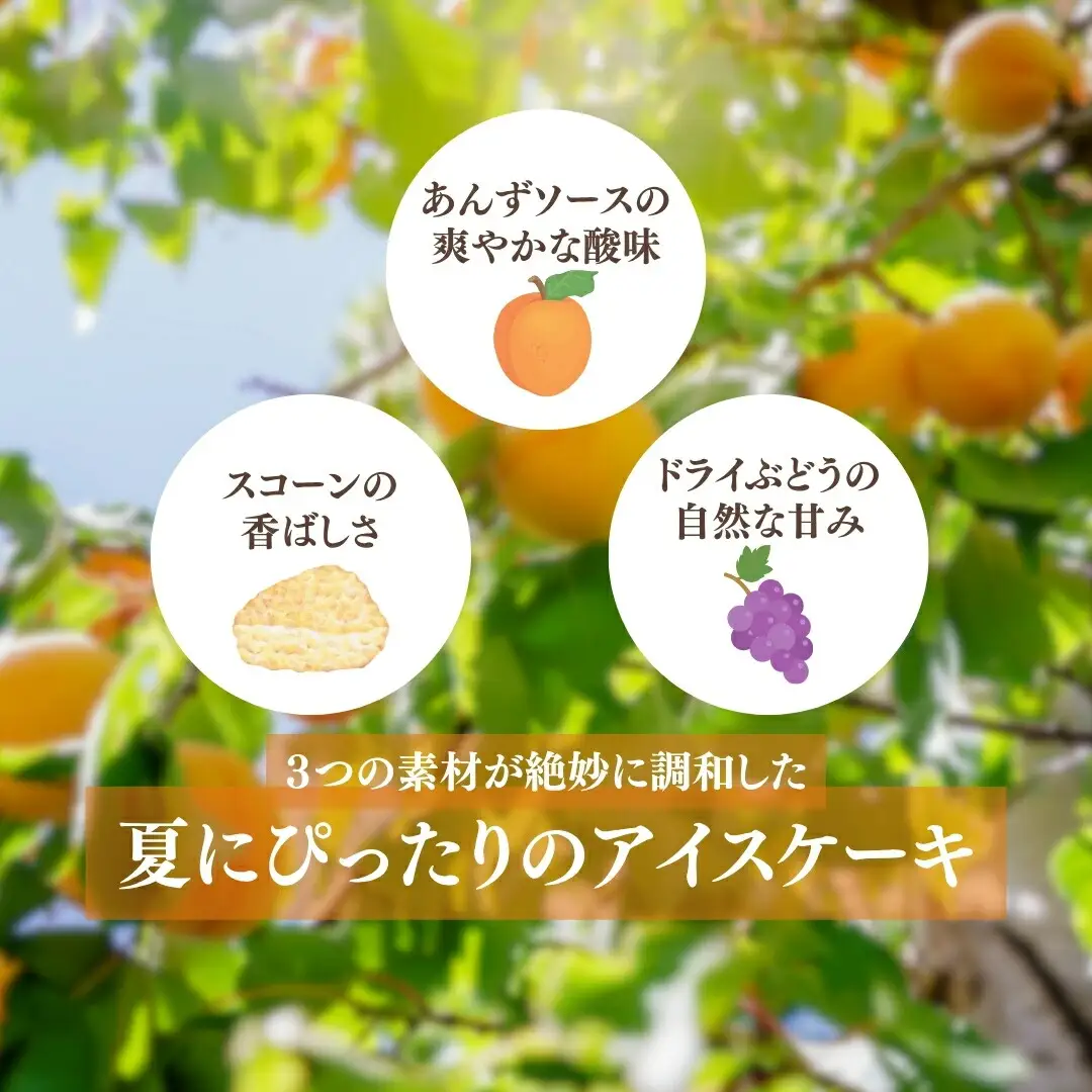 あんずアイスケーキ 5号(15cm)｜ アイスケーキ