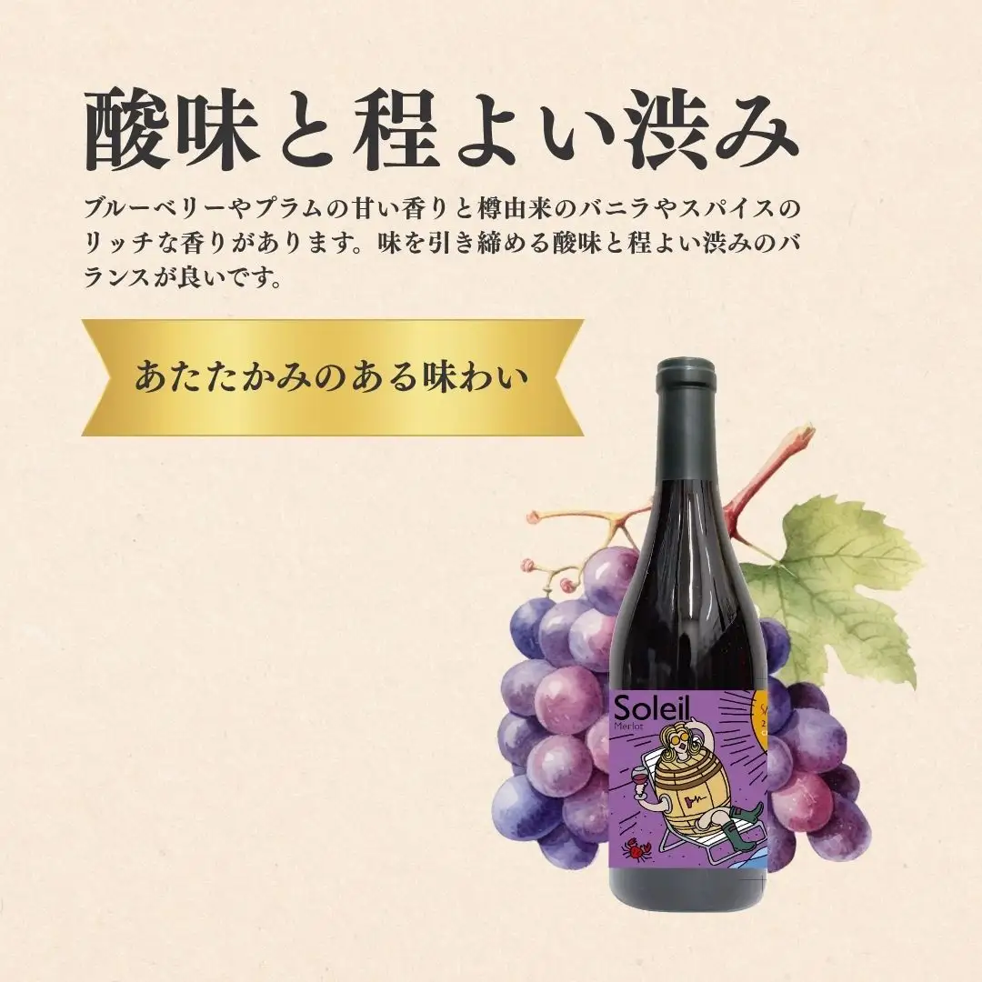 赤ワイン＜ソレイユ メルロ＞ 750ml × 1本 ｜赤ワイン