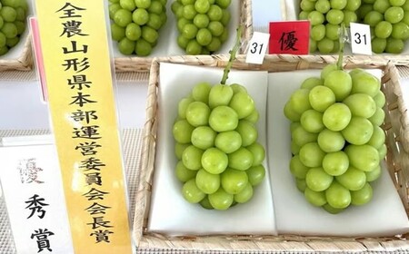 【令和8年産先行予約】 【山形県ぶどう品評会 最優秀賞受賞農家】 シャインマスカット 約1.8kg (3房入り 秀) 《令和8年9月中旬～発送》 『青木農園』 山形県 南陽市 [2027-R8]
