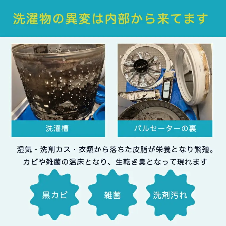 洗濯機クリーニング 縦型分解 日立ビートウォッシュ 洗濯機クリーニング【柏市限定】
