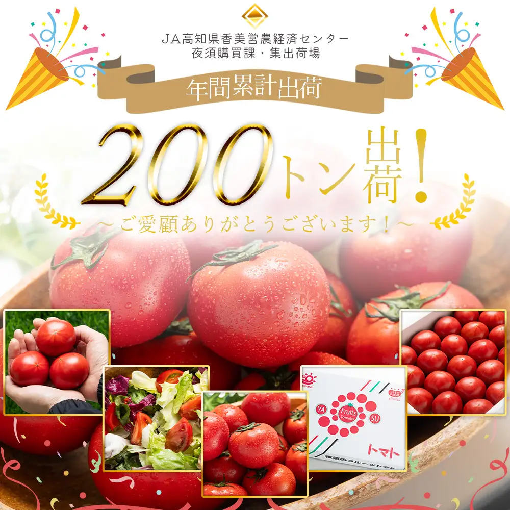 2027年1月下旬発送開始 フルーツトマト 2kg 定期便 3回 トマト Wyu-0078