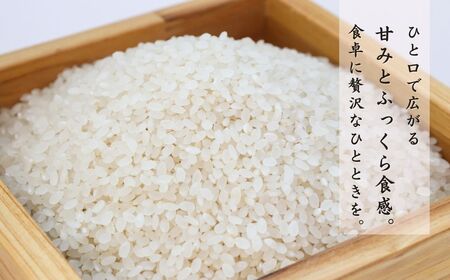 【先行予約・令和8年10月以降発送予定】新米 新潟産コシヒカリ 5kg 令和8年産 こしひかり 直播栽培 | 農家直送 新潟県 出雲崎町