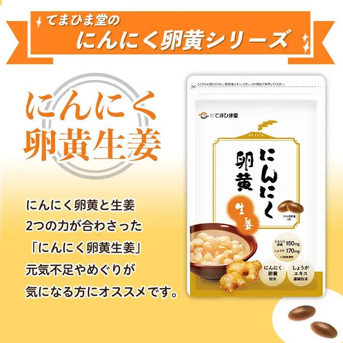 No.1285-A てまひま にんにく卵黄生姜(1袋 62粒入り・2袋×3回)  鹿児島 日置市 ニンニク 健康食品 栄養 元気 カプセル 安全安心 生姜 サプリ サプリメント 定期便 頒布会 【てまひま堂】