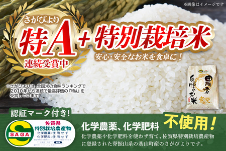 【令和7年産米】基山の米 さがびより 5kg 特別栽培米 K098004