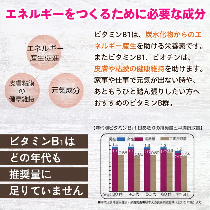 No.1300-B ＜定期便・全6回(隔月)＞ビタミンB群(2袋×6回・計12袋) 鹿児島 日置市 健康食品 サプリ 栄養バランス 食生活 安心安全 ビタミン 定期便 頒布会 【てまひま堂】