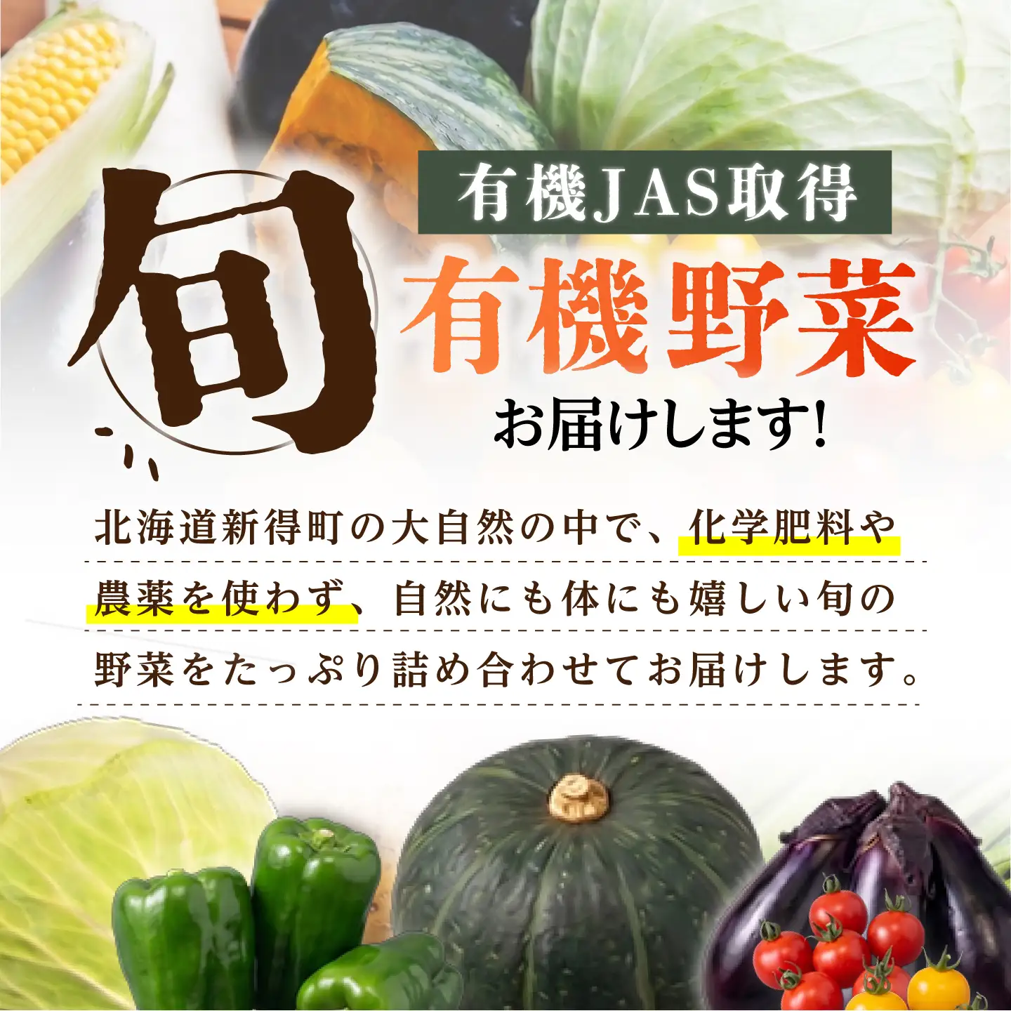 有機野菜セット[BNAP002]