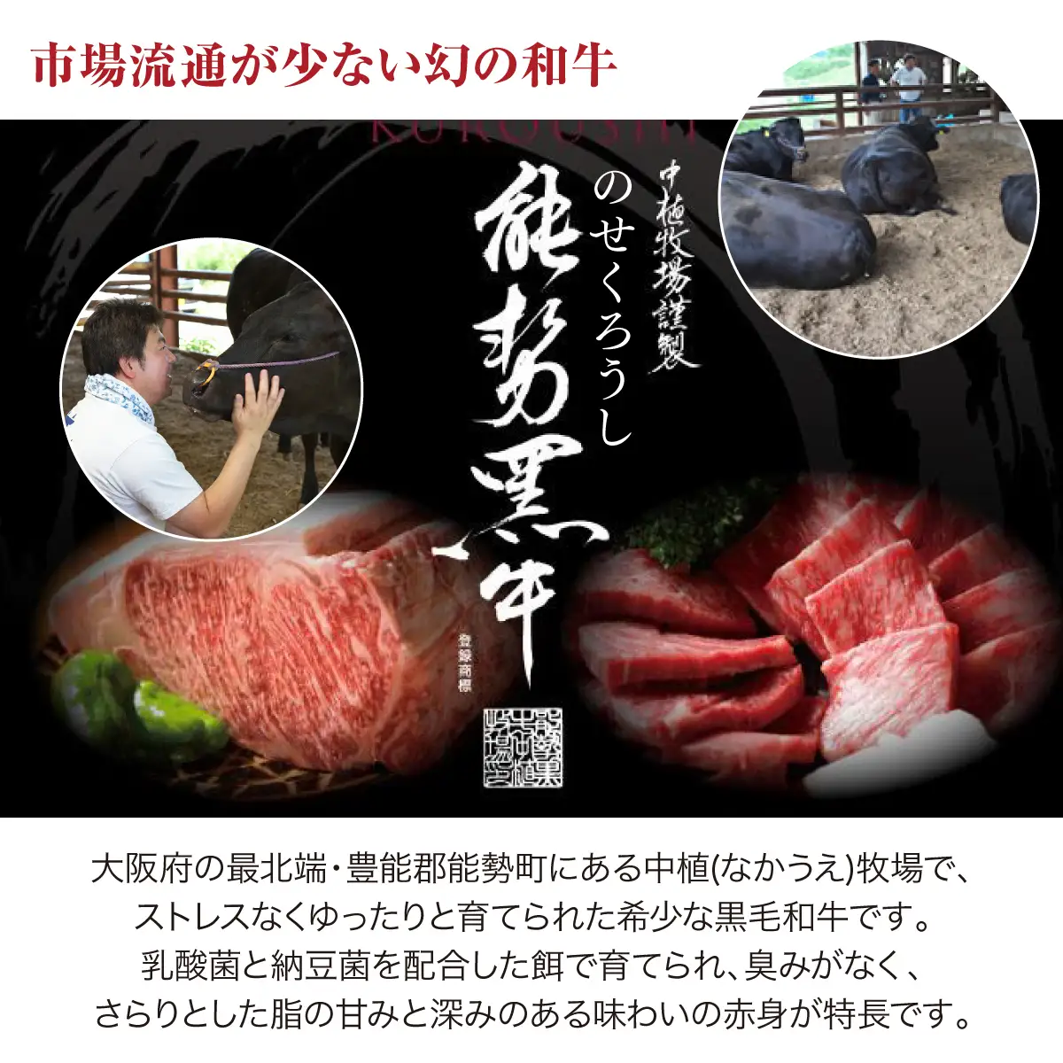 【ふるさと納税】能勢黒牛または能勢黒若牛のすき焼き用500g | 中植牧場 丸昭精肉店 |  牛肉 能勢黒牛 能勢黒若牛 牛ロース モモ すき焼き 柔らか 濃厚 国産 おすすめ 送料無料 贈答 ギフト | 大阪府 能勢町 送料無料