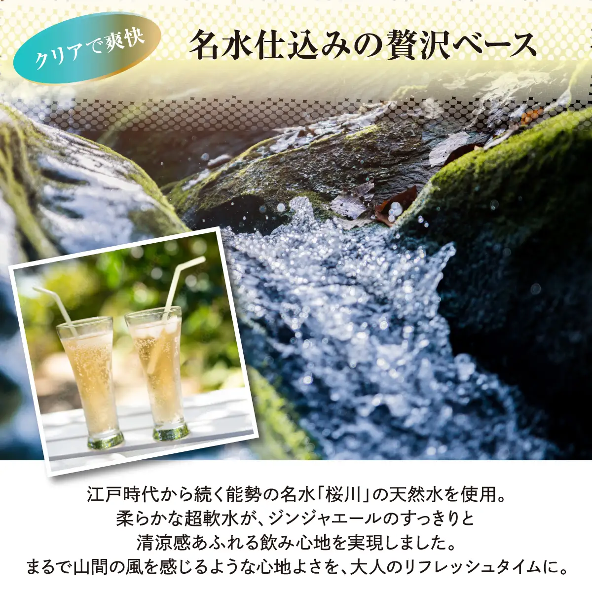 《お酒にも合うちょっと大人な》 能勢ジンジャーエール 250ml × 24本 | 能勢酒造 | ノンアルコール 辛口 国産 ショウガ 生姜 本格派 ご当地 老舗 カクテル 割り材 ガラス瓶 | 大阪府 能勢町 送料無料