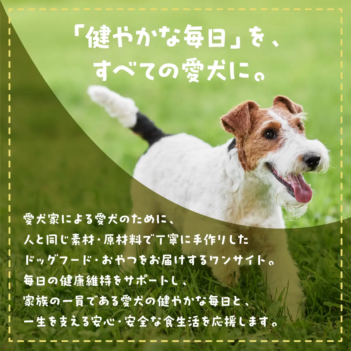 【完全無添加・国産・犬のおやつ】 サメの身のみを燻製 「燻製サメジャーキー」 180g (60g×3袋) | 株式会社wan-site | 国産 手作り 無添加 わんちゃん 犬 ペットフード おやつ ペット用品 ペット ヘルシー 高タンパク 人気 ご褒美【1419531】