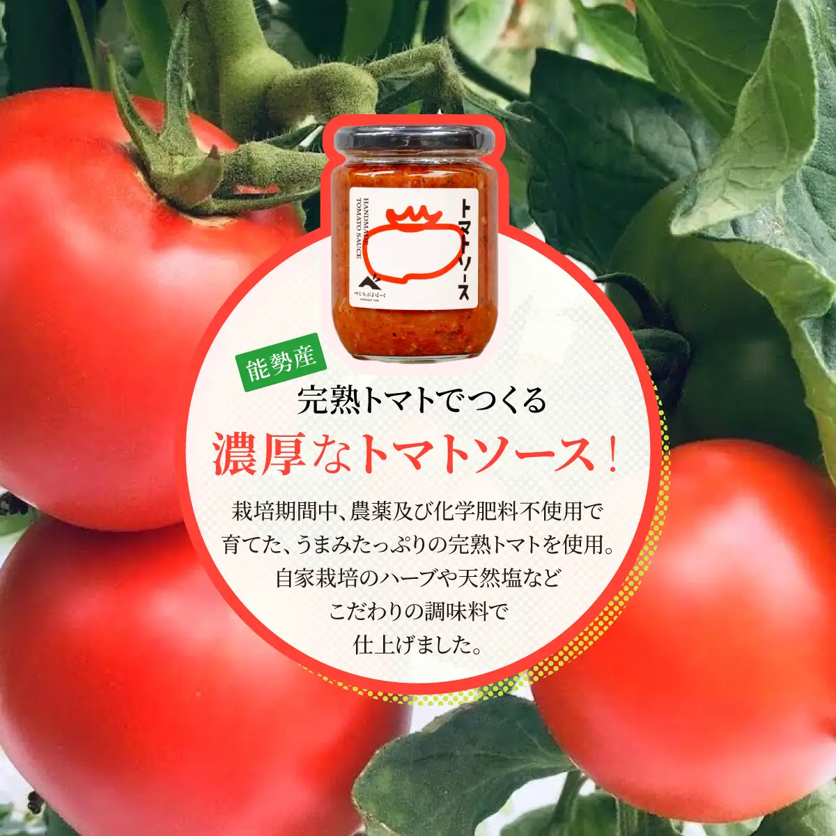 【大阪能勢特産】 【シェフ監修】 【パスタソース】 トマトソース 3本 セット | べじたぶるぱーく | 国産 無添加 厳選素材 完熟 手作り お料理 ピザ イタリアン | お取り寄せ セット 詰合わせ | 大阪府 能勢町 送料無料