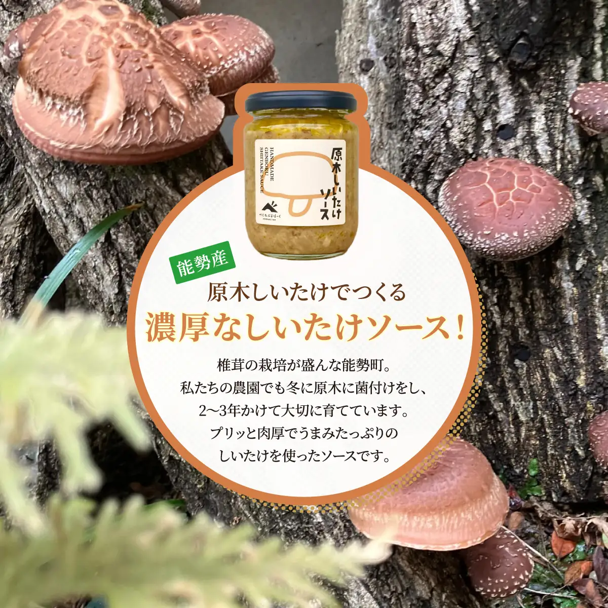 【大阪能勢特産】 【シェフ監修】 【パスタソース】 原木しいたけ ソース 2本 セット | べじたぶるぱーく | 国産 無添加 厳選素材 椎茸 濃厚 調味料 手作り お料理 ピザ イタリアン | お取り寄せ セット 詰合わせ | 大阪府 能勢町 送料無料