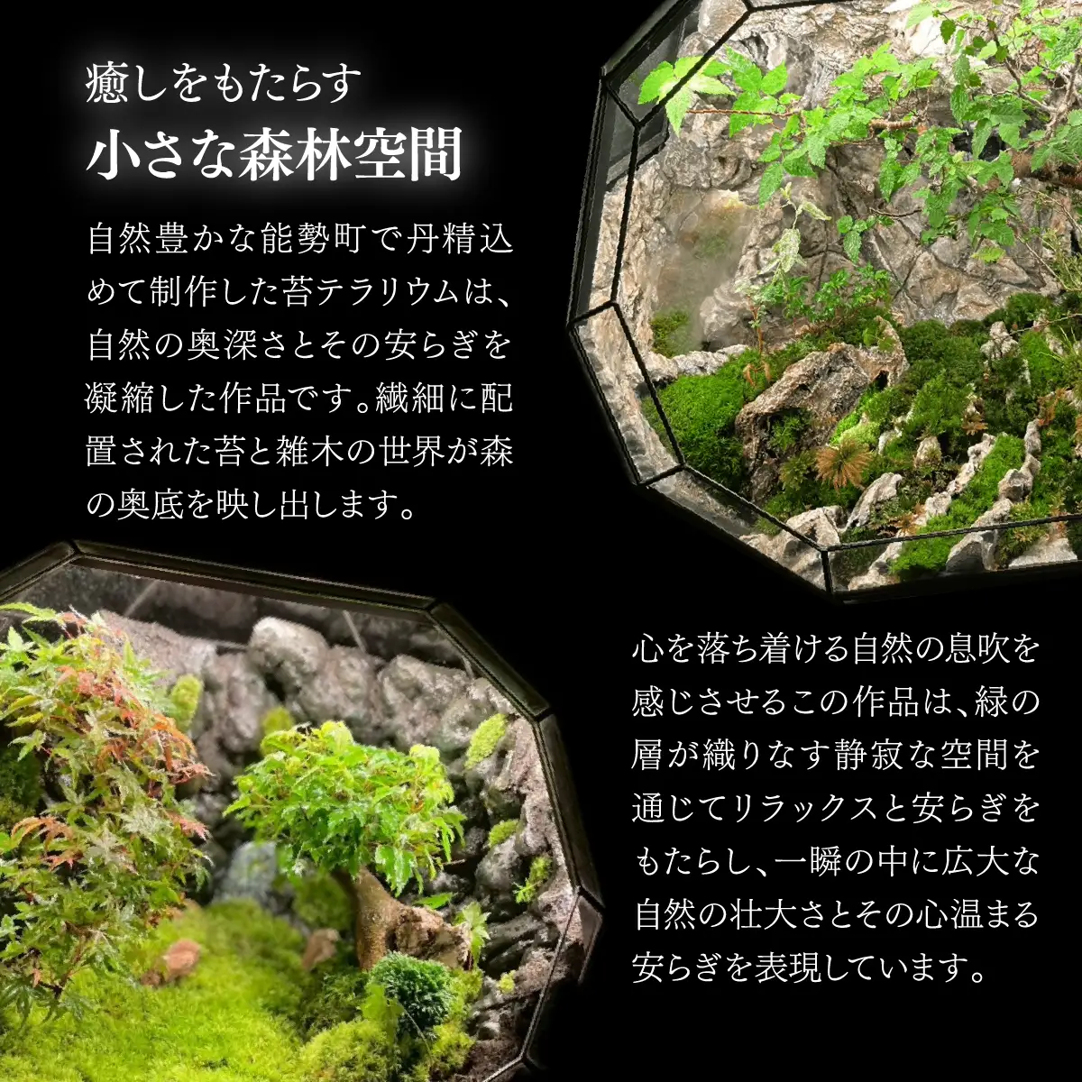 苔テラリウム | ホンダテラリウム工房 | 62面体 インテリア 和モダン 観葉植物 盆 一点もの アート作品 ハンドメイド 手作り LEDライト付き ガラス容器 癒し リラクゼーション ミニチュア ジオラマ おしゃれ ギフト | 大阪府 能勢町 送料無料