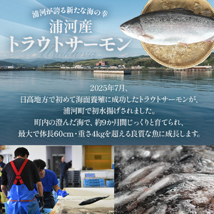 北海道浦河町産『うららサーモン』のドレス1本(約1.4kg)[02-1511]