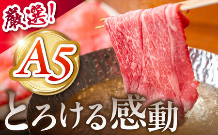 《冷蔵》 【A5等級】 飛騨牛 うでorもも しゃぶしゃぶ 450g 多治見市 / 肉の沖村 A5 牛肉 ギフト 贈り物[THI008]