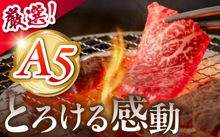 《冷蔵》 【A5等級】 飛騨牛 うでorもも 焼肉 300g 多治見市 / 肉の沖村 A5 牛肉 ギフト 贈り物[THI016]