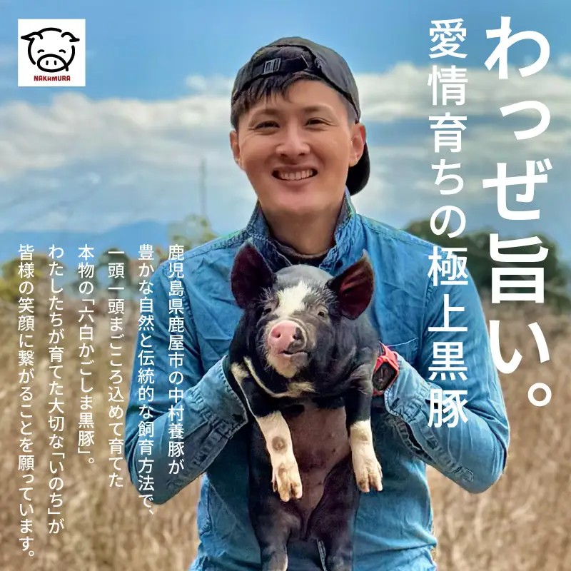 かごしま 黒豚 しゃぶしゃぶ 800g / 贈答用 箱入り KN167-001 肉 豚肉 鍋