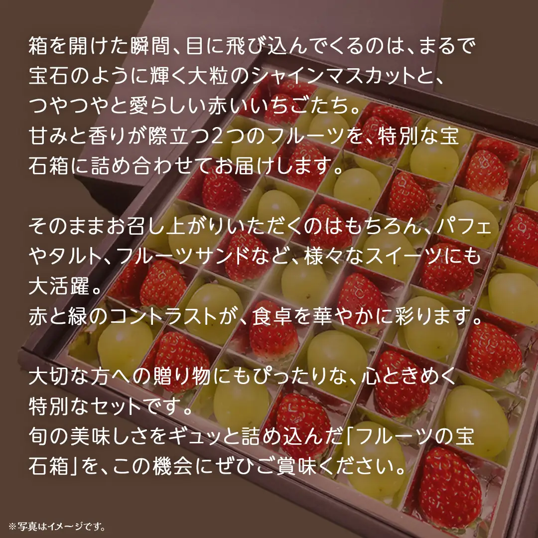 【 お歳暮 熨斗付き 】 赤いちご と シャインマスカット の宝石箱 36粒 (茨城県共通返礼品：大子町)