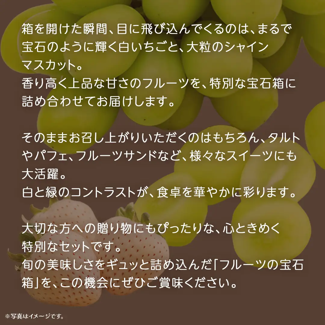 【 お歳暮 熨斗付き 】 白いちご と シャインマスカット の宝石箱 36粒 (茨城県共通返礼品：大子町)