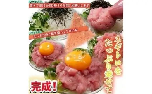 【定期便】【市場食堂　花いち】ネギトロ　250g×4PC（1kg）×3ヶ月【11100-1901】