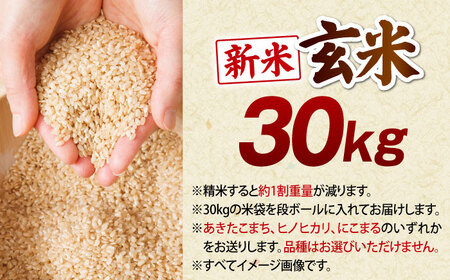 米【令和8年産】【新米】玄米 30kg 米[AGEI001]