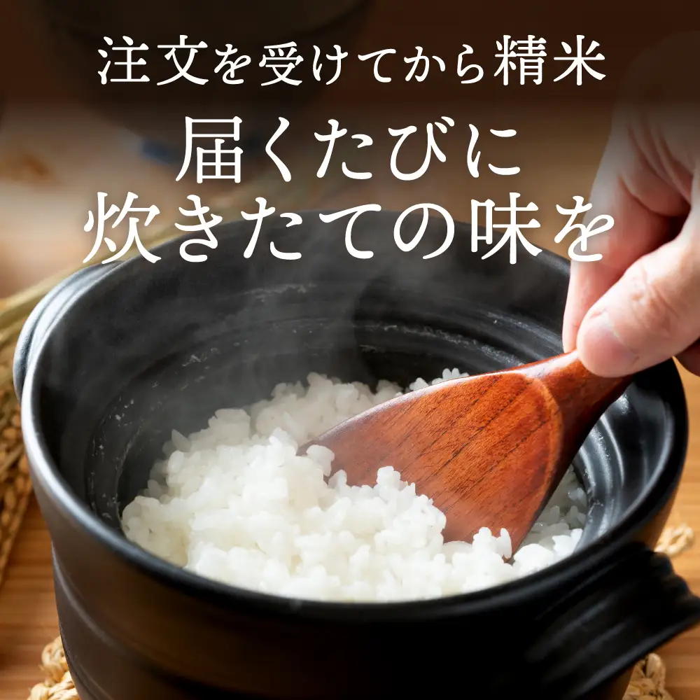 丹波産コシヒカリ 白米 5kg 〈発送直前精米〉〈丹波市〉 お米 白米