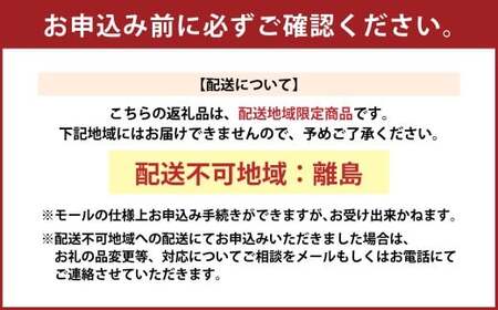 ～あなただけの特別な瞬間を形に～ プレート （大） 思い出プレート フォトプレート 鋳物 鋳物製品 金属プレート オーダーメイド