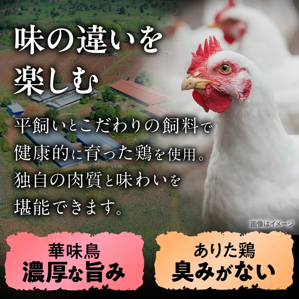 博多水炊き 食べ比べ2種セット 2-3人前【上田商店・華味鳥】[BGAD071]水炊きセット