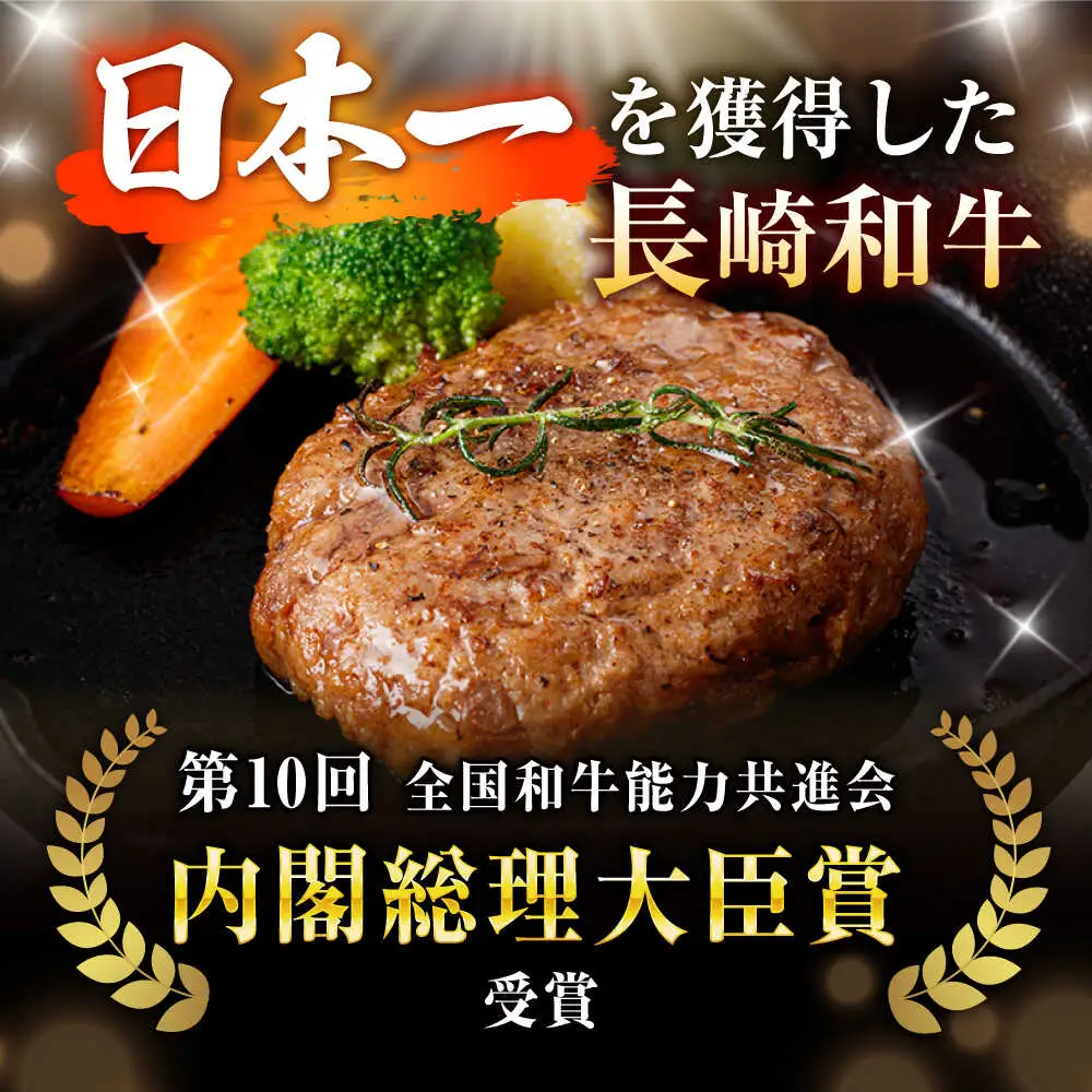 【12回定期便】【肉汁、洪水警報】長崎和牛 手ごねハンバーグ 750g(150g×5個) / 国産 牛肉 和牛 肉 a5 ハンバーグ はんばーぐ 小分け / 諫早市 / 野中精肉店[AHCW132]