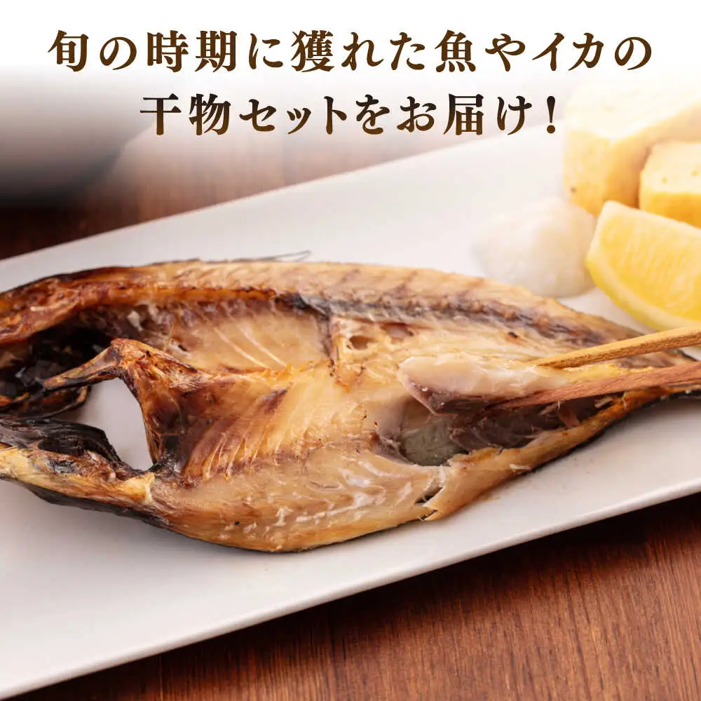 旬の魚 干物 6種 セット [JAQ028]