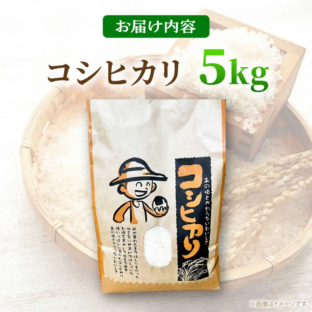 ＜令和7年産＞ コシヒカリ 5kg 白川町 / 健康農園[AWBW001]