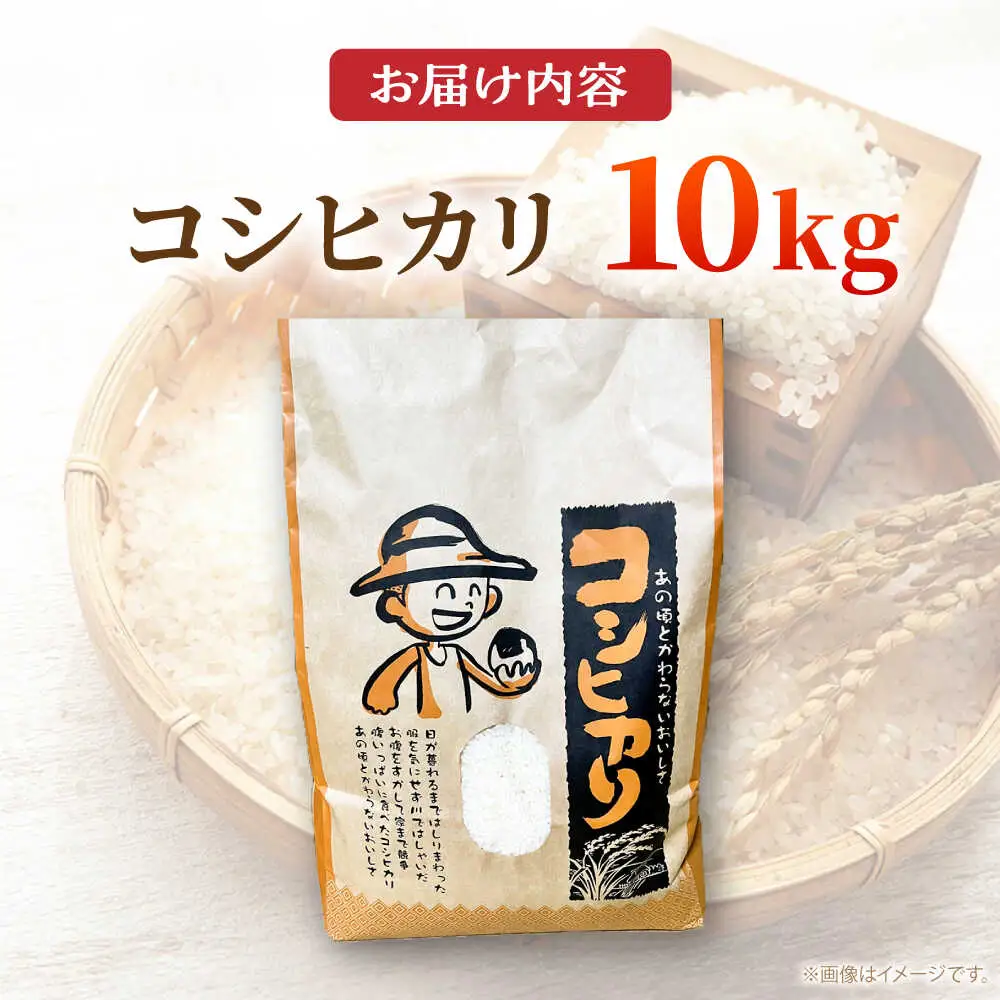 ＜令和7年産＞ コシヒカリ 10kg 白川町 / 健康農園[AWBW002]
