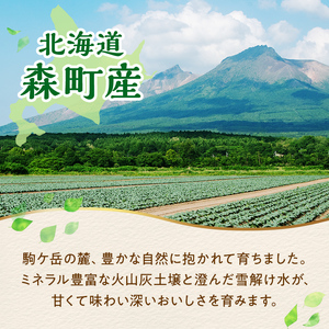 【6ヶ月定期便】北海道産 ブロッコリー 冷凍 2.4kg×6回 野菜 ブロッコリー mr1-1009 