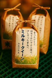 米 5kg ミルキークイーン 令和7年産 市場の目利きが選ぶお米 5kg ミルキークイーン | 米 お米 主食 精米 白米 ミルキークイーン 長野県 伊那市 信州産 2025年10月上旬から発送 【014-37】