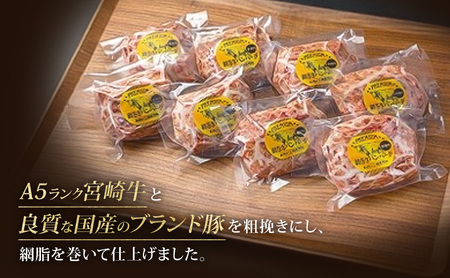 ハンバーグ A5ランク 宮崎牛 180g 8個 セット マ・メゾン 国産 冷凍ハンバーグ 工場直売 惣菜