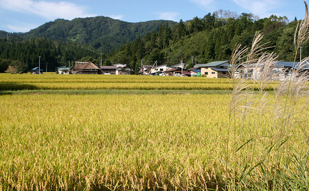 あきたこまち無洗米訳あり精米 秋田県産 あきたこまち【2合(300g)×3袋】