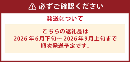【訳あり】岡山白桃（家庭用）1.2kg以上  サイズ不揃い【2026年6月下旬～9月上旬まで順次発送予定】 もも 桃 モモ 4～7玉 フルーツ 果物 岡山県 倉敷市