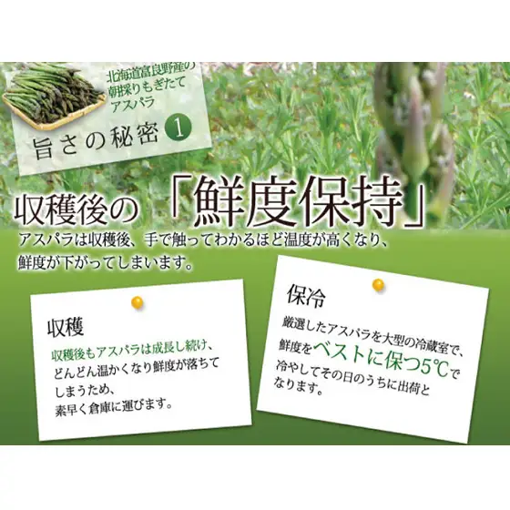 【2027年春発送】富良野産 訳あり グリーンアスパラ【1kg】65本前後 サイズ混合 野菜 アスパラガス 大容量