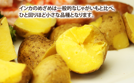 じゃがいも インカの目覚め 富良野産 じゃがいも【約3kg】