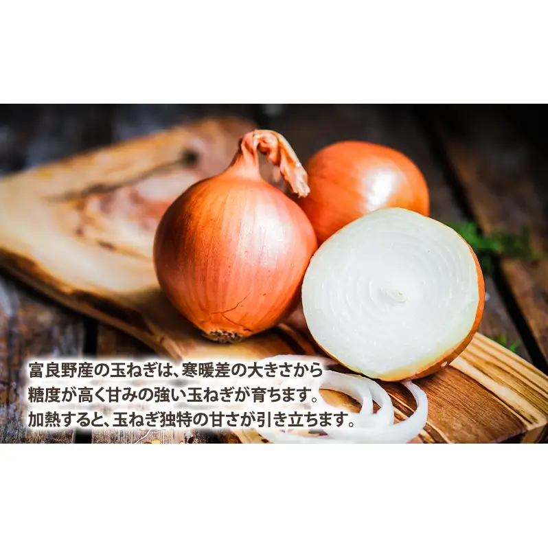 【2026年秋冬発送】北海道富良野産 たまねぎ 約10kg (Lサイズ前後) 野菜 玉ねぎ