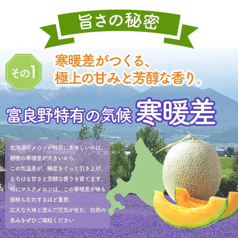 【数量限定！】北海道 富良野 メロン Lサイズ 1.3kg以上×1玉 フルーツ 果物